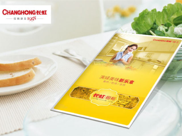 家电产品画册设计风格参考图片分享-深圳长虹集团公司