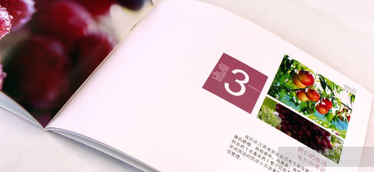 北京画册设计印刷设计